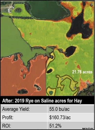 sandness-after-comparison